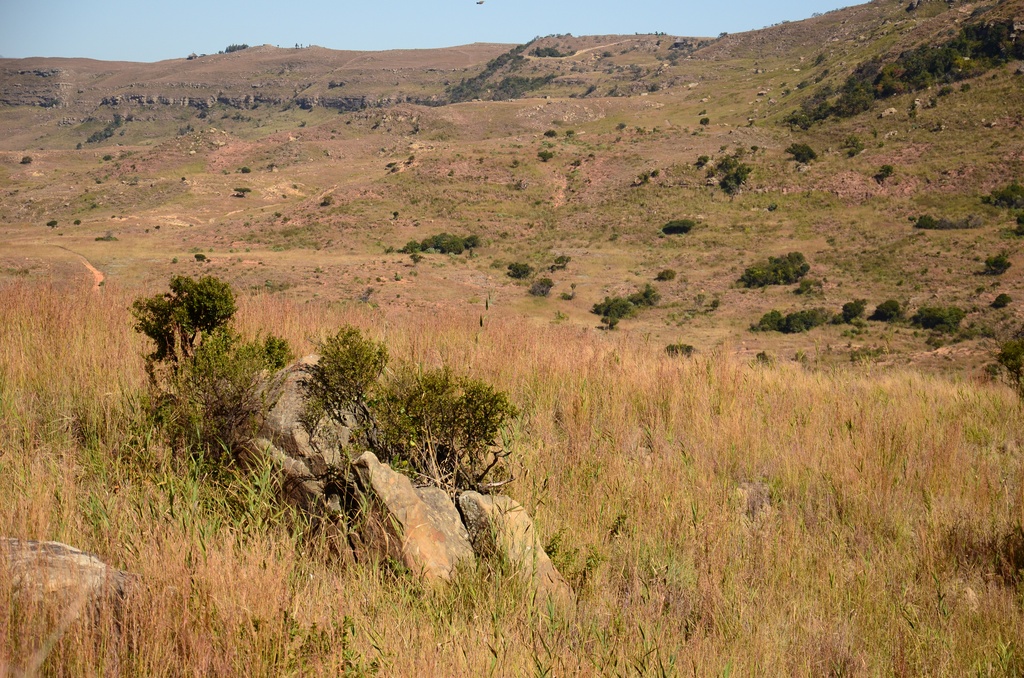 2015-05 South Africa/Drakensburg/DSC_0177.JPG